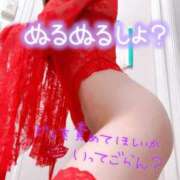 ヒメ日記 2024/12/27 07:03 投稿 あん トマトなび