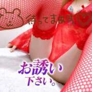 ヒメ日記 2024/12/27 18:47 投稿 あん トマトなび