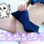 ヒメ日記 2025/01/20 07:54 投稿 あん トマトなび