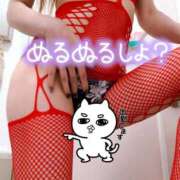 ヒメ日記 2025/01/22 06:46 投稿 あん トマトなび