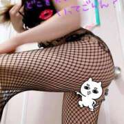 ヒメ日記 2025/02/07 07:56 投稿 あん トマトなび