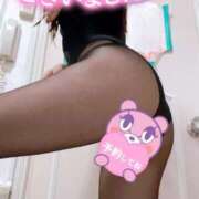 ヒメ日記 2025/02/10 17:44 投稿 あん トマトなび