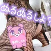 ヒメ日記 2025/02/21 07:10 投稿 あん トマトなび