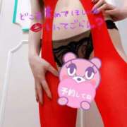 ヒメ日記 2025/03/01 07:04 投稿 あん トマトなび