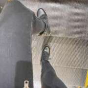 ヒメ日記 2025/03/03 06:18 投稿 あん トマトなび