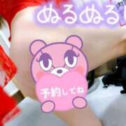 ヒメ日記 2025/03/18 07:55 投稿 あん トマトなび