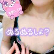 ヒメ日記 2025/03/19 07:53 投稿 あん トマトなび