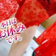 ヒメ日記 2025/03/20 14:26 投稿 あん トマトなび