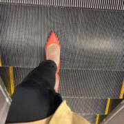 ヒメ日記 2025/03/22 06:15 投稿 あん トマトなび