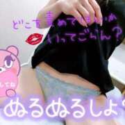 ヒメ日記 2025/03/22 07:41 投稿 あん トマトなび