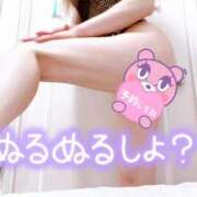 ヒメ日記 2025/03/29 07:41 投稿 あん トマトなび