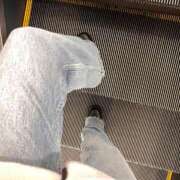 ヒメ日記 2025/04/01 06:16 投稿 あん トマトなび