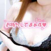 ヒメ日記 2025/04/01 07:46 投稿 あん トマトなび