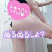 ヒメ日記 2025/04/04 07:53 投稿 あん トマトなび