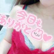 ヒメ日記 2025/04/12 16:24 投稿 あん トマトなび