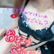 ヒメ日記 2025/04/15 07:39 投稿 あん トマトなび