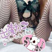 ヒメ日記 2025/04/19 07:52 投稿 あん トマトなび