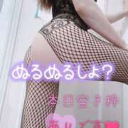 ヒメ日記 2025/04/25 07:29 投稿 あん トマトなび