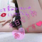 ヒメ日記 2025/04/28 07:44 投稿 あん トマトなび