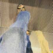 ヒメ日記 2025/05/03 06:18 投稿 あん トマトなび