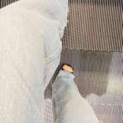 ヒメ日記 2025/05/07 06:20 投稿 あん トマトなび