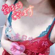 ヒメ日記 2025/05/13 07:46 投稿 あん トマトなび