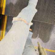 ヒメ日記 2025/05/16 06:20 投稿 あん トマトなび