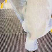 ヒメ日記 2025/05/21 06:20 投稿 あん トマトなび