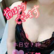 ヒメ日記 2025/06/02 07:40 投稿 あん トマトなび