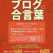 ヒメ日記 2025/06/04 06:24 投稿 あん トマトなび