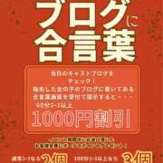 ヒメ日記 2025/06/24 07:14 投稿 あん トマトなび