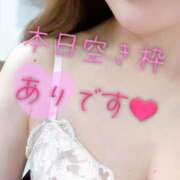 ヒメ日記 2025/07/09 11:12 投稿 あん トマトなび