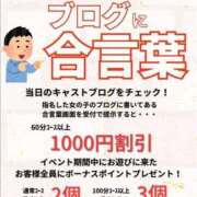 ヒメ日記 2025/07/14 07:40 投稿 あん トマトなび