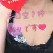 ヒメ日記 2025/07/21 06:59 投稿 あん トマトなび