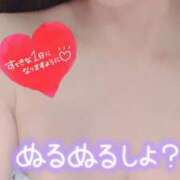 ヒメ日記 2025/07/22 07:21 投稿 あん トマトなび