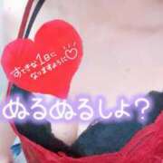 ヒメ日記 2025/07/28 07:30 投稿 あん トマトなび