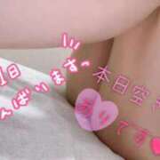 ヒメ日記 2025/08/02 09:32 投稿 あん トマトなび