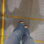 ヒメ日記 2025/08/06 06:12 投稿 あん トマトなび