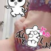 ヒメ日記 2025/08/08 20:06 投稿 あん トマトなび