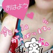 ヒメ日記 2025/08/22 07:33 投稿 あん トマトなび