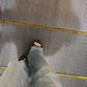 ヒメ日記 2025/09/06 06:19 投稿 あん トマトなび