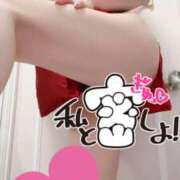 ヒメ日記 2025/09/06 07:45 投稿 あん トマトなび