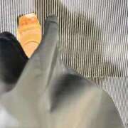 ヒメ日記 2025/09/09 06:13 投稿 あん トマトなび