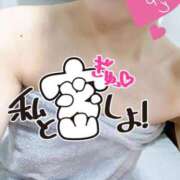 ヒメ日記 2025/09/10 07:18 投稿 あん トマトなび