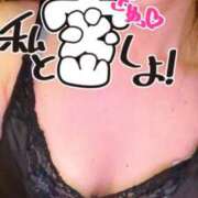 ヒメ日記 2025/09/12 07:37 投稿 あん トマトなび