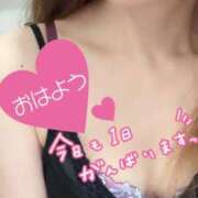 ヒメ日記 2025/09/13 07:32 投稿 あん トマトなび