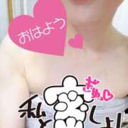 ヒメ日記 2025/10/08 07:39 投稿 あん トマトなび