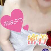 ヒメ日記 2025/10/10 07:16 投稿 あん トマトなび