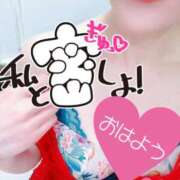 ヒメ日記 2025/10/11 07:57 投稿 あん トマトなび