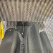 ヒメ日記 2025/10/14 06:15 投稿 あん トマトなび